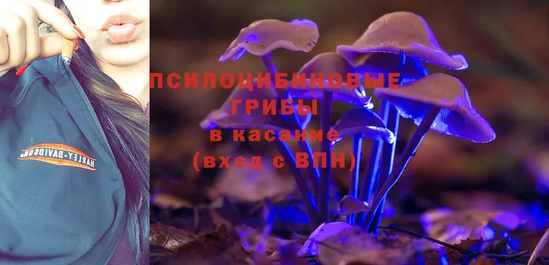 Псилоцибиновые грибы MAGIC MUSHROOMS  Новоузенск 